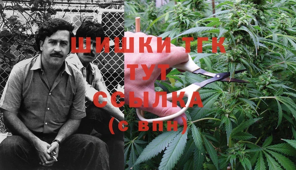 молекула духа Балахна