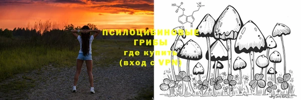 СК Сосновоборск