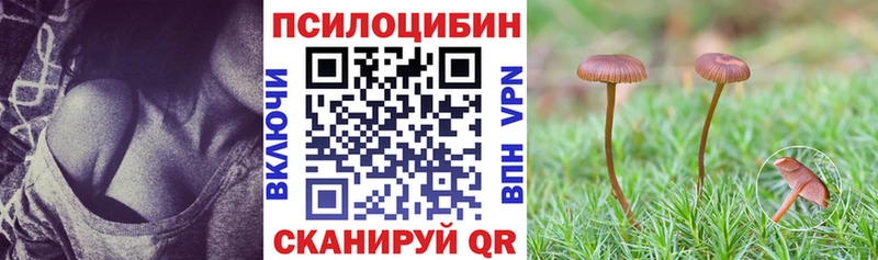 Галлюциногенные грибы Magic Shrooms  Ярцево 